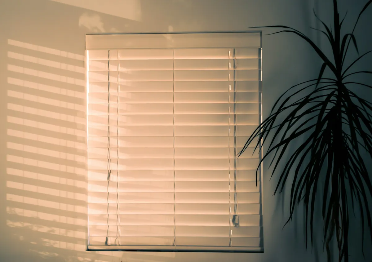 White horizontal blind lowered over a sunny window beside a palm