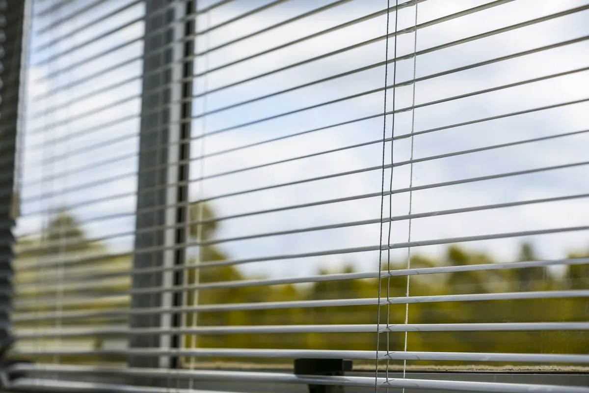 Horizontal blinds tilted open with trees and sky behind