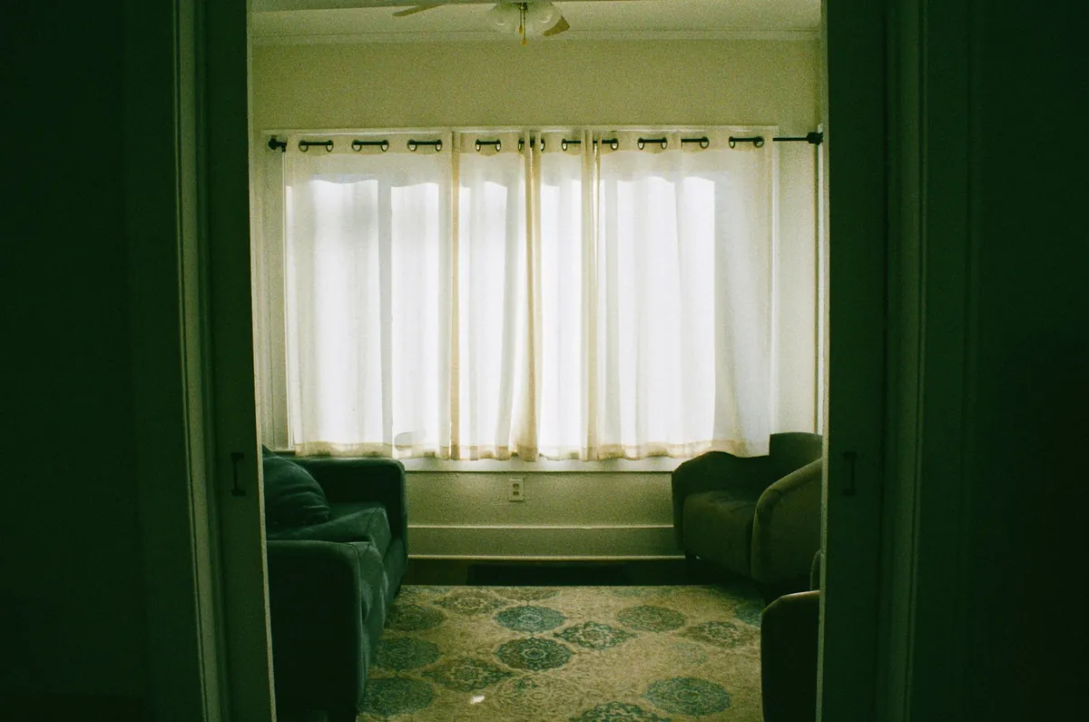 Sheer white curtains across a run of windows in a green sitting room
